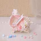 Conch Peach Scented Candle-Ornamental Ocean Style