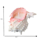 Conch Peach Scented Candle-Ornamental Ocean Style
