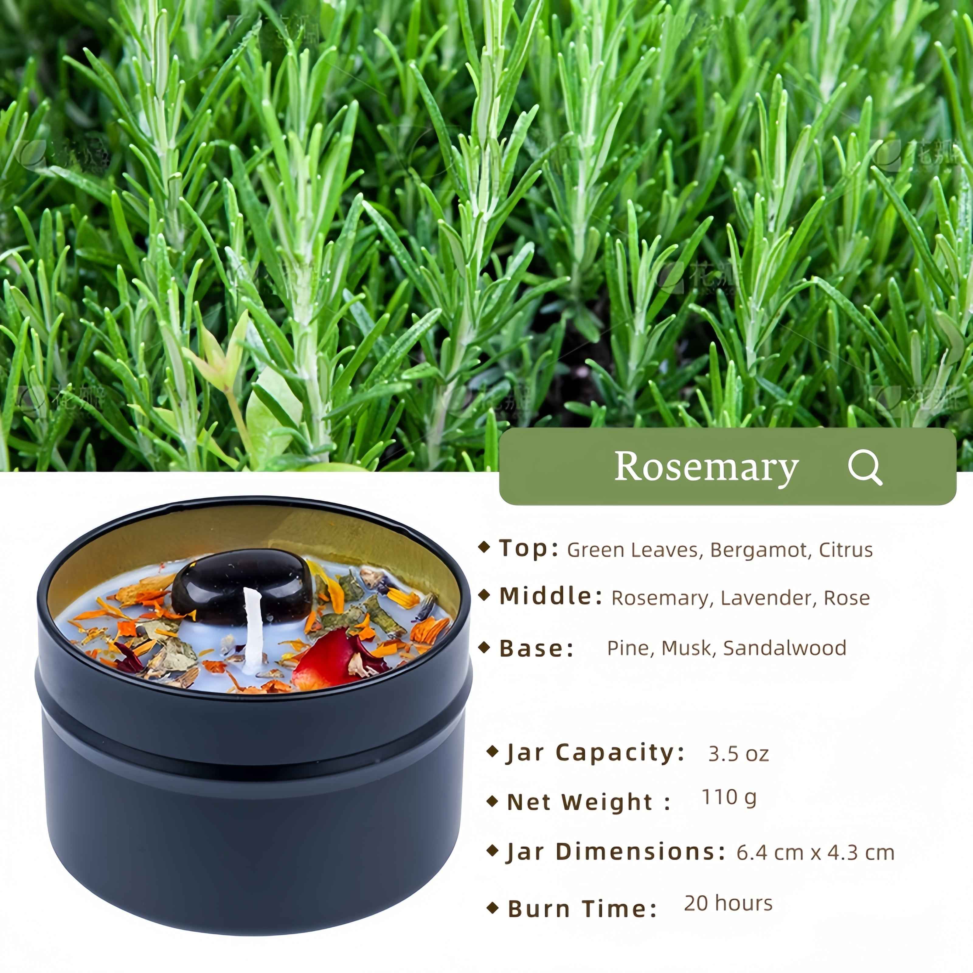 Exotic Aromatherapy Candle - Sensual Hand-Poured in a Premium Soy Blend Tin for Relaxation